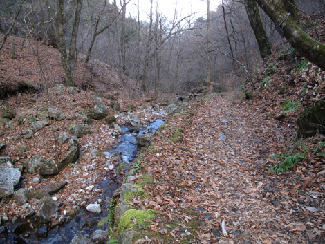 20171128hike (220)